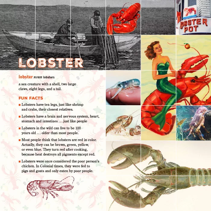 Rescued Words Book Lobster